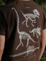 Paleontología ®