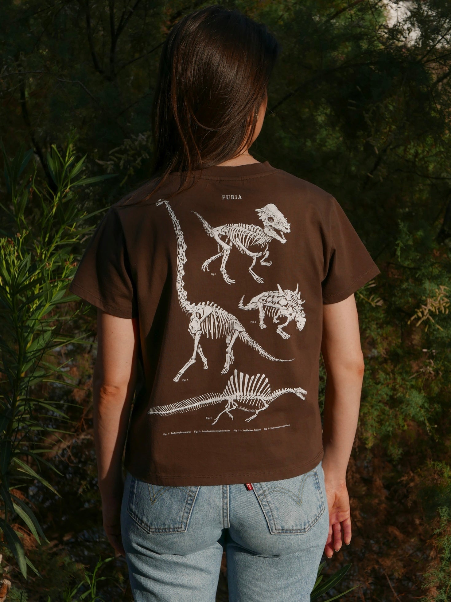 Paleontología ®
