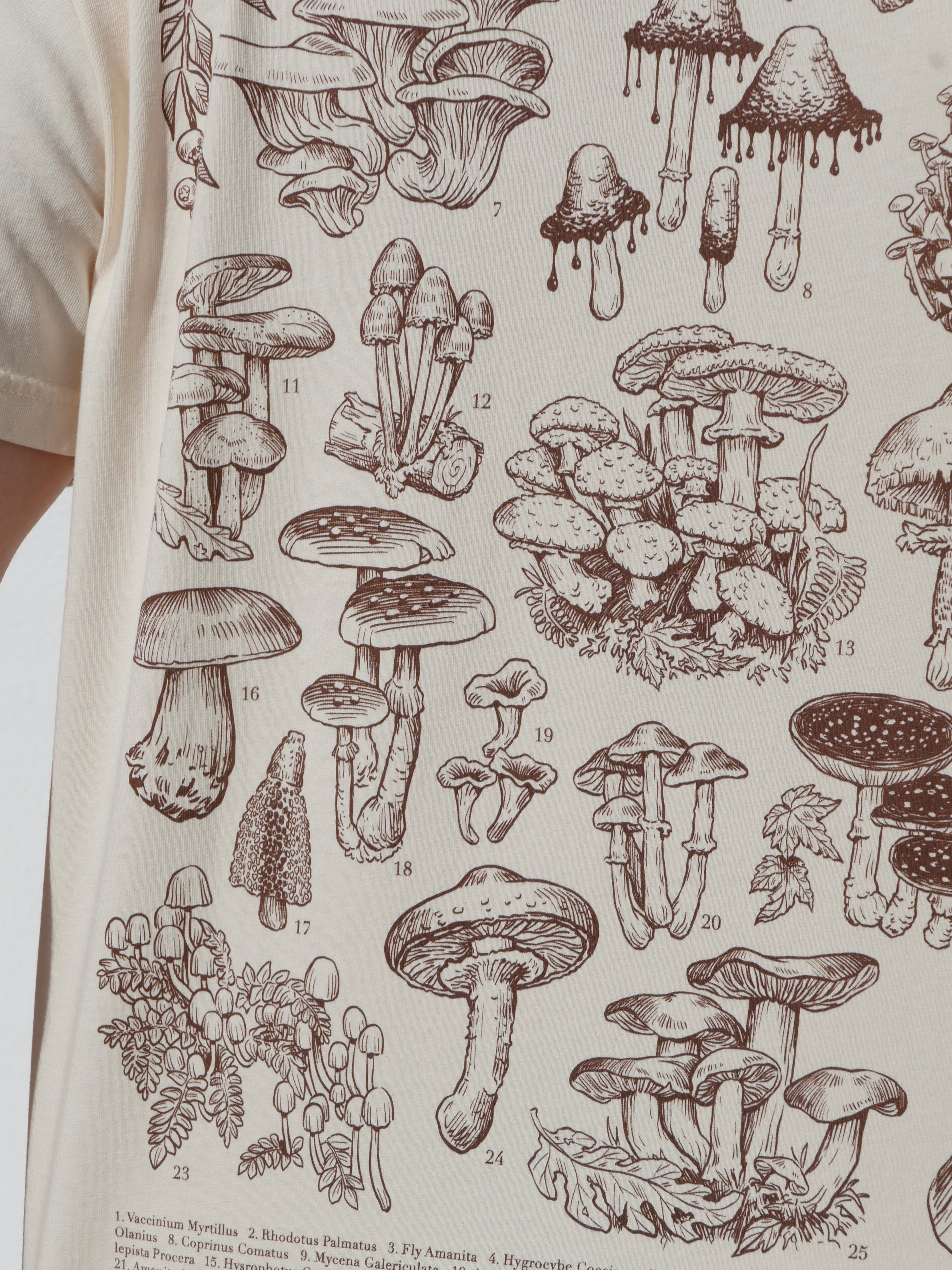 Mushrooms® 