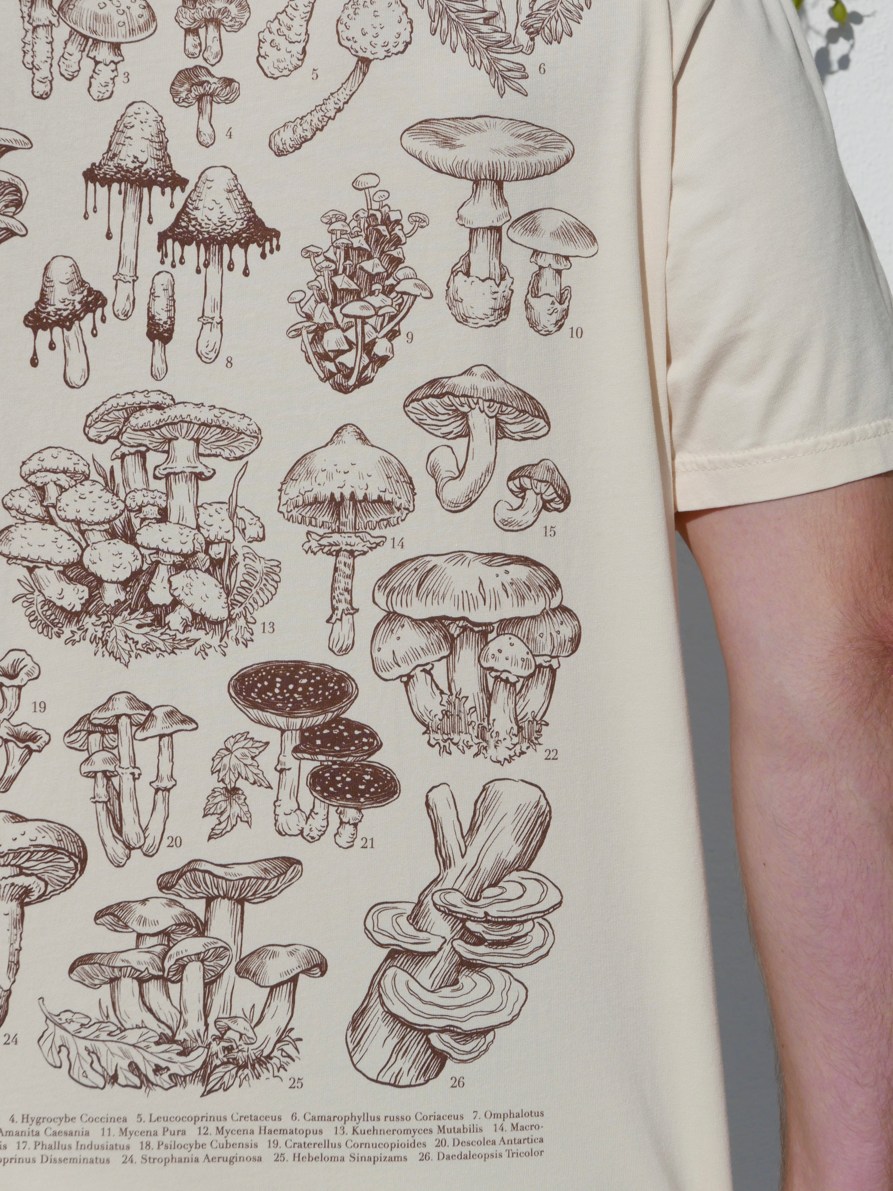 Mushrooms® 