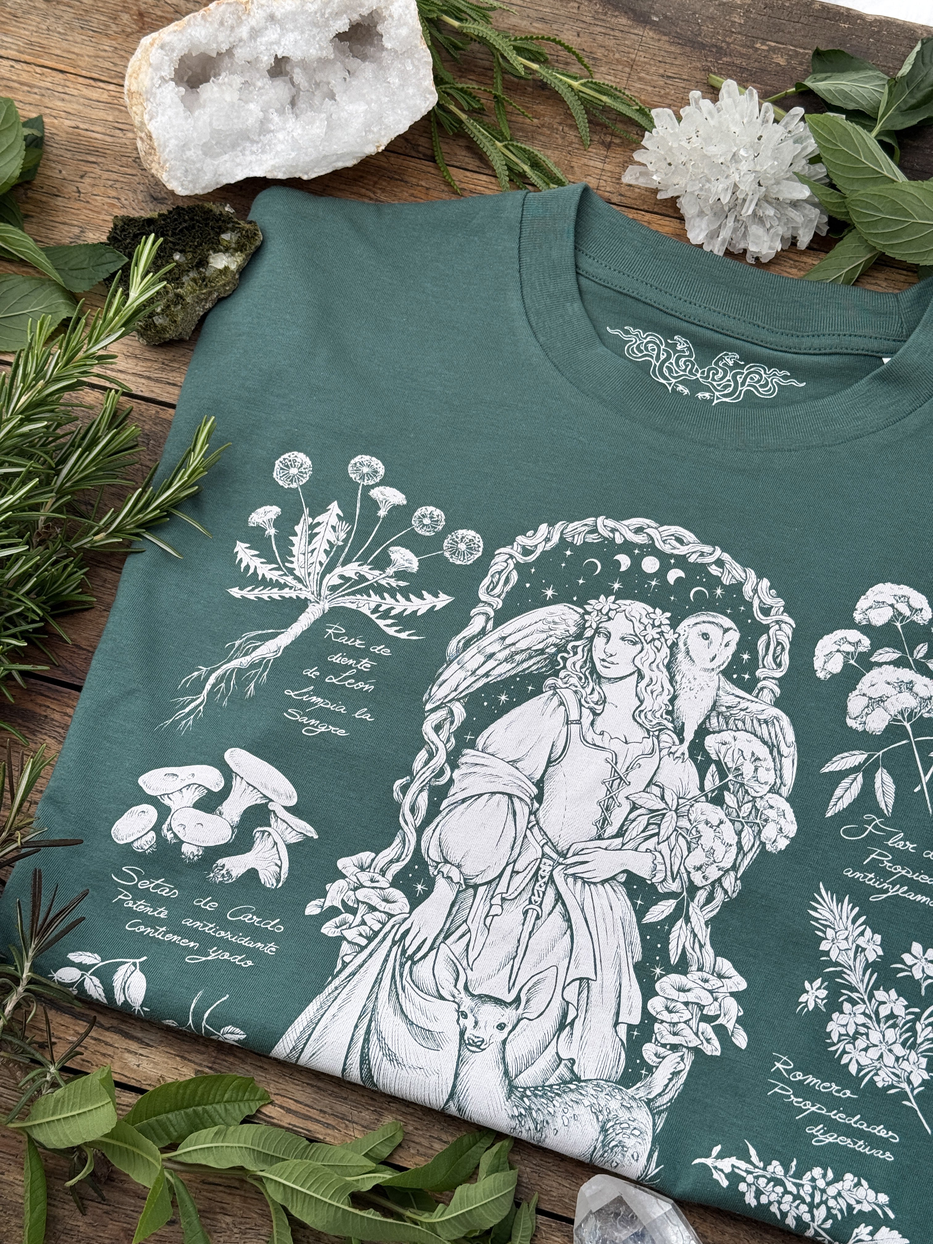 Bruja del Bosque ® (disponible 11/05)