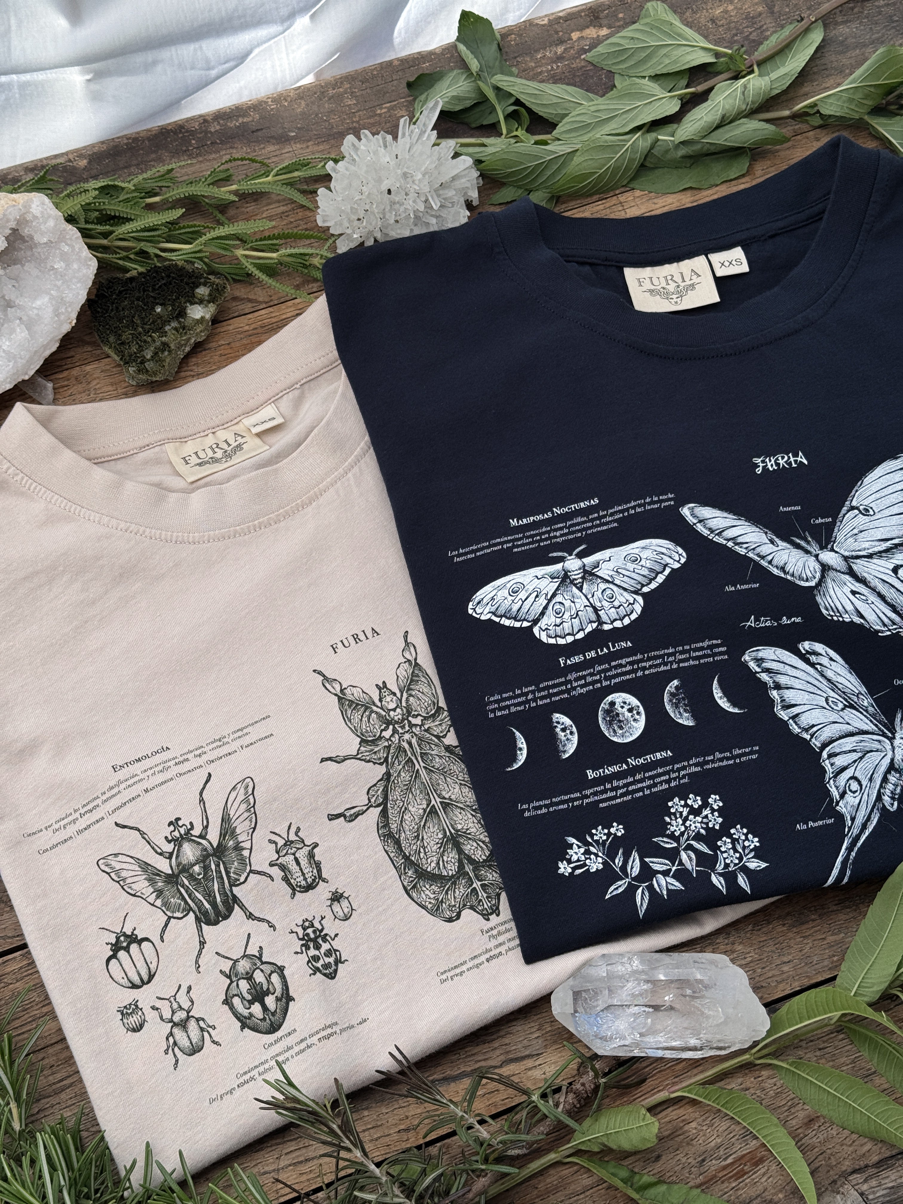 Night butterflies ® (Available 11/05)