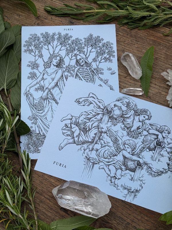 Seasons Pack Print®