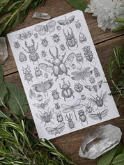 Print Entomología®