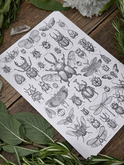 Print Entomología®