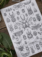 Print Entomología®