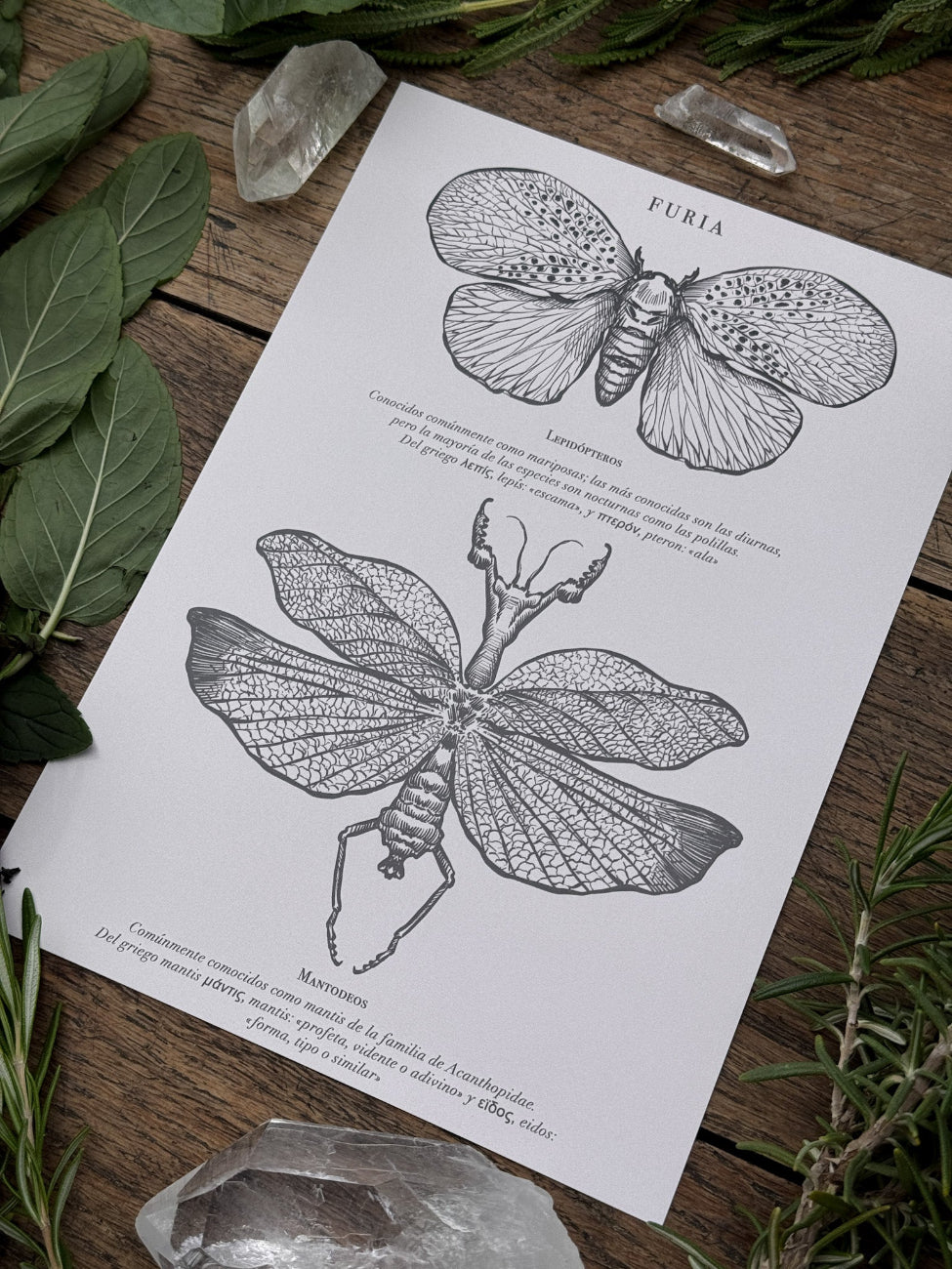 Pack Print Entomología®