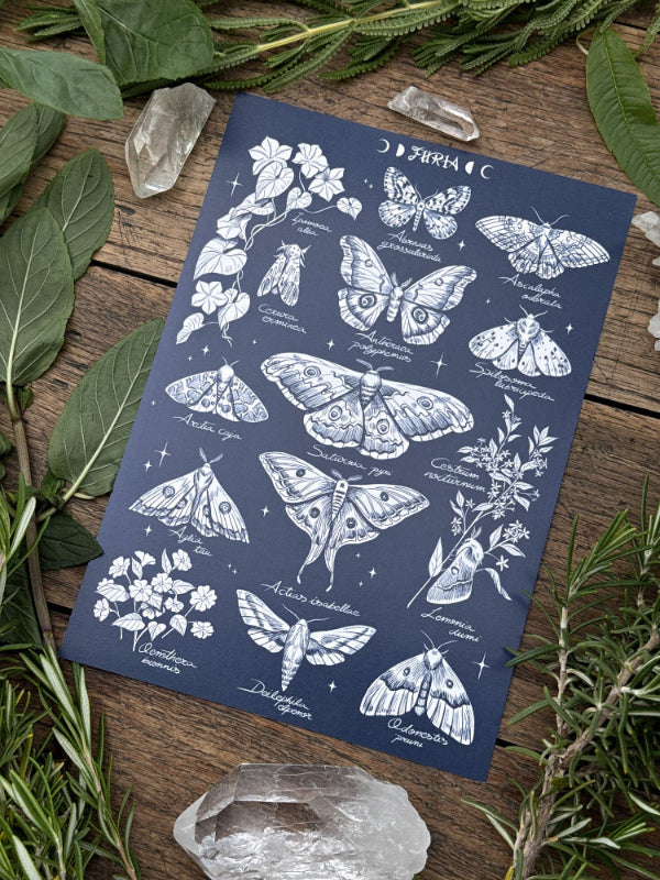 Insects Pack Print®