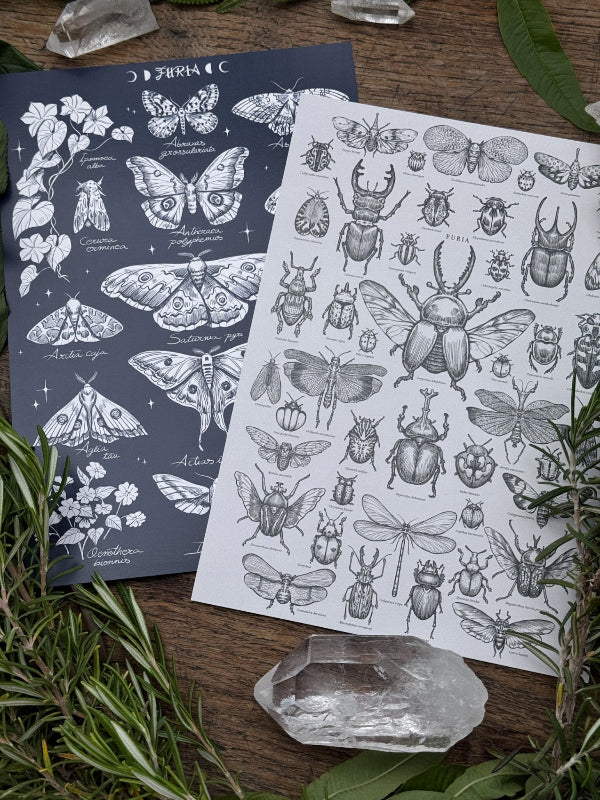 Insects Pack Print®