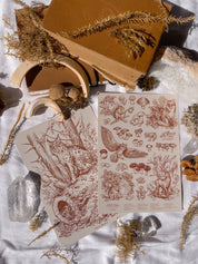 Pack Prints Lynx and Fauna and Flora ©