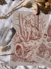 Pack Prints Lynx and Fauna and Flora ©