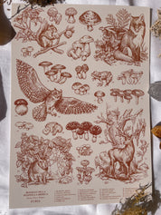 Pack Prints Lynx and Fauna and Flora ©