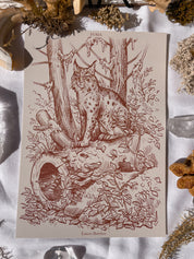 Pack Prints Lynx and Fauna and Flora ©