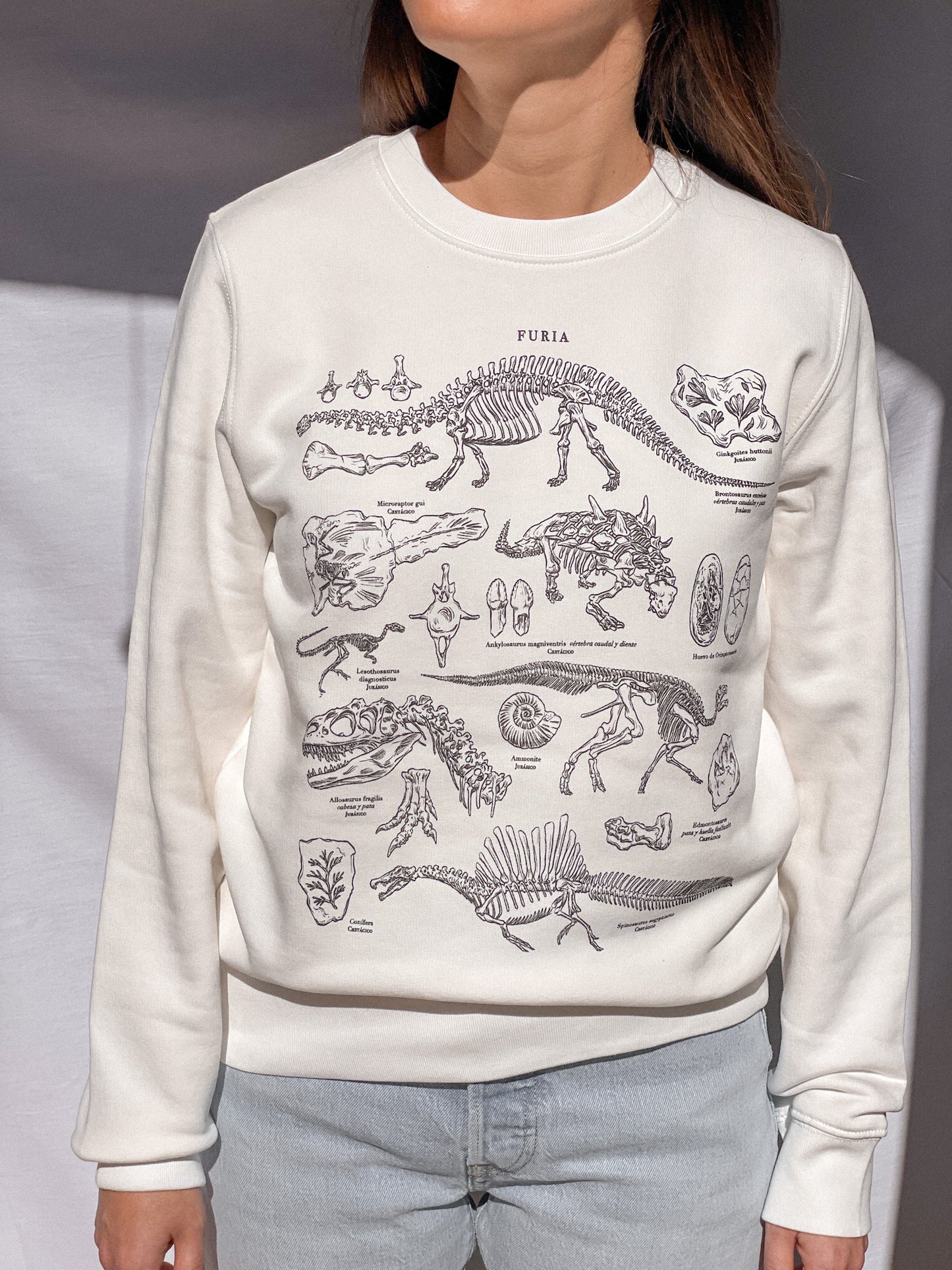 DINOSAURS (SWEATSHIRT) © 