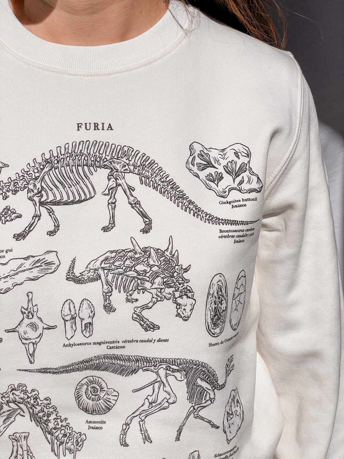 DINOSAURS (SWEATSHIRT) © 