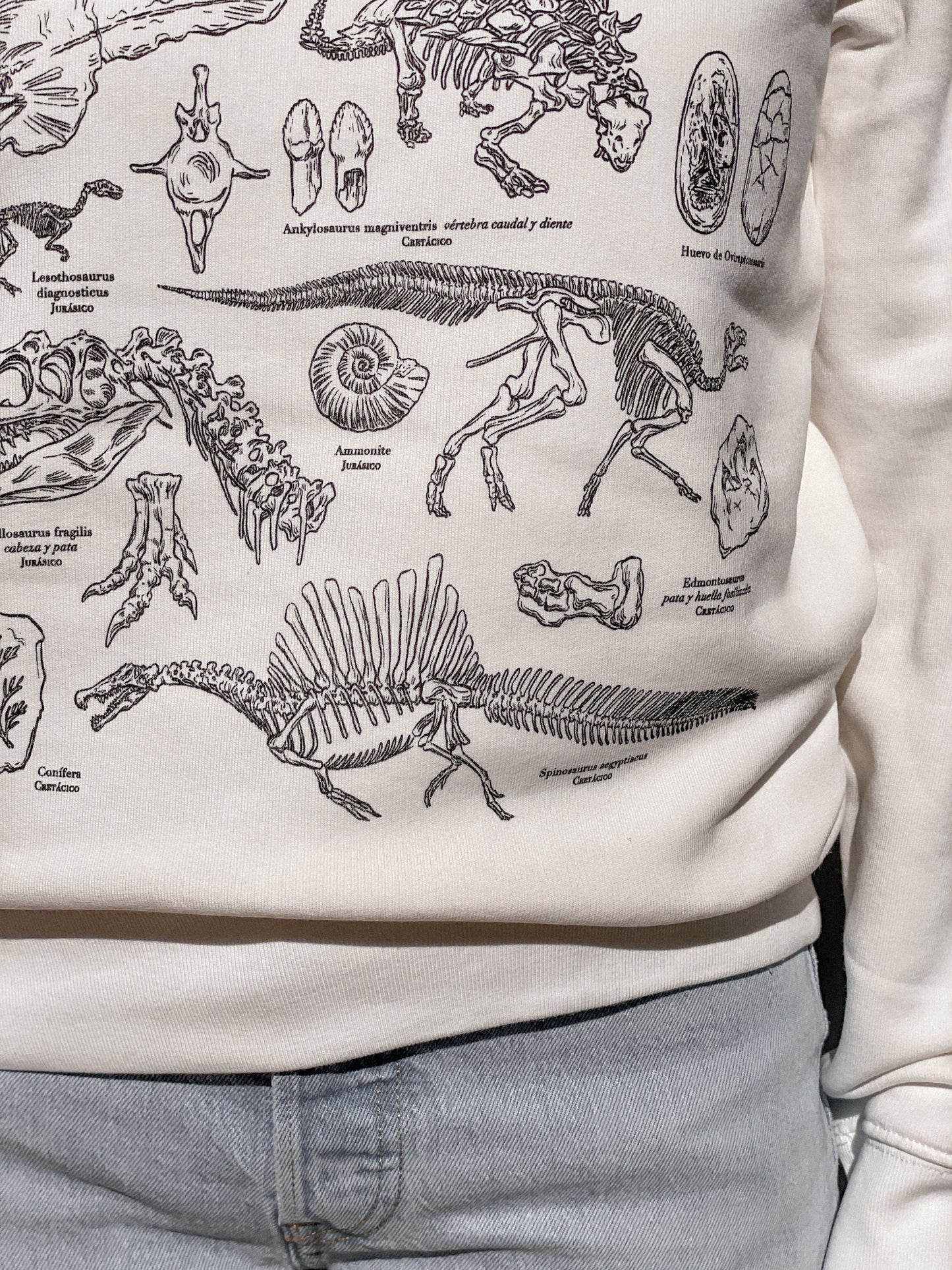 DINOSAURS (SWEATSHIRT) © 