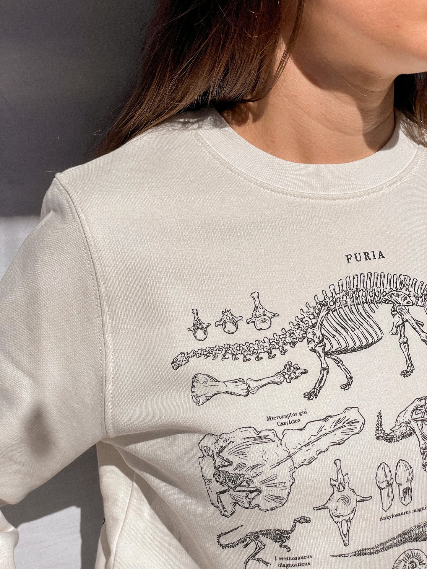 DINOSAURS (SWEATSHIRT) © 