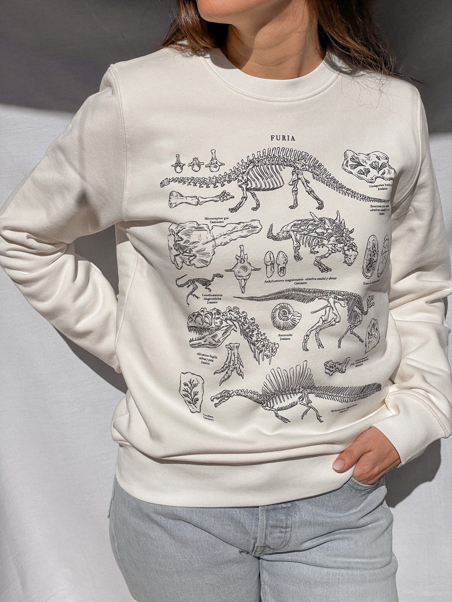 DINOSAURS (SWEATSHIRT) © 