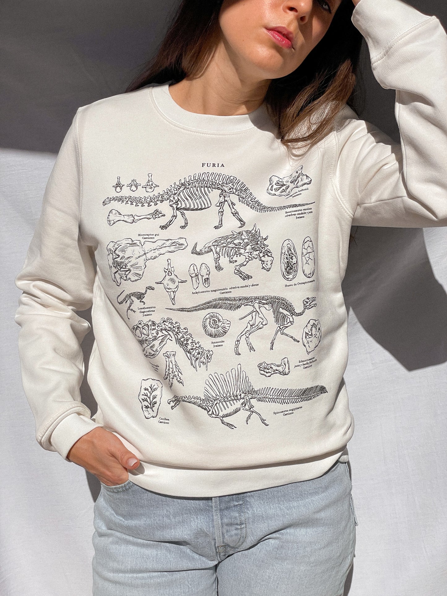 DINOSAURS (SWEATSHIRT) © 