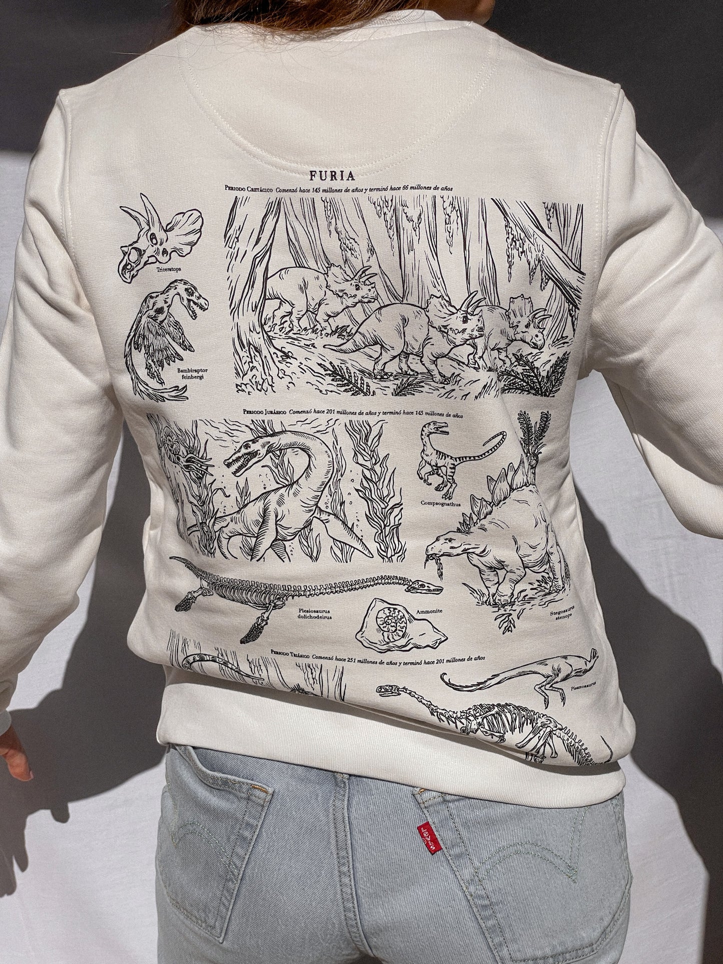 DINOSAURS (SWEATSHIRT) © 