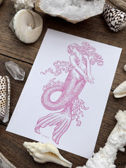 Sirena del Océano®