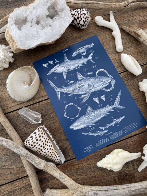 Deep Oceans Great White Shark®