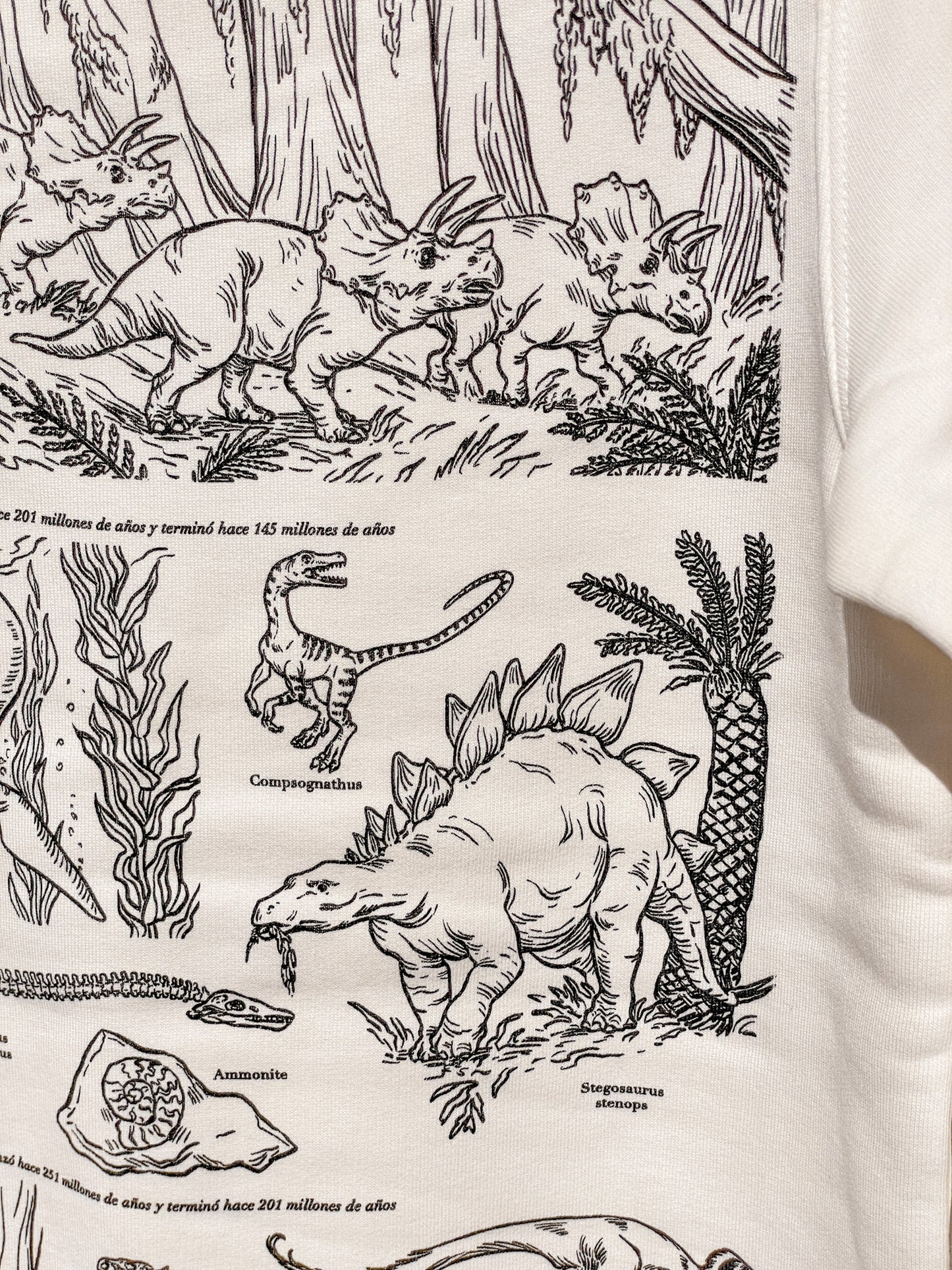 DINOSAURS (SWEATSHIRT) © 