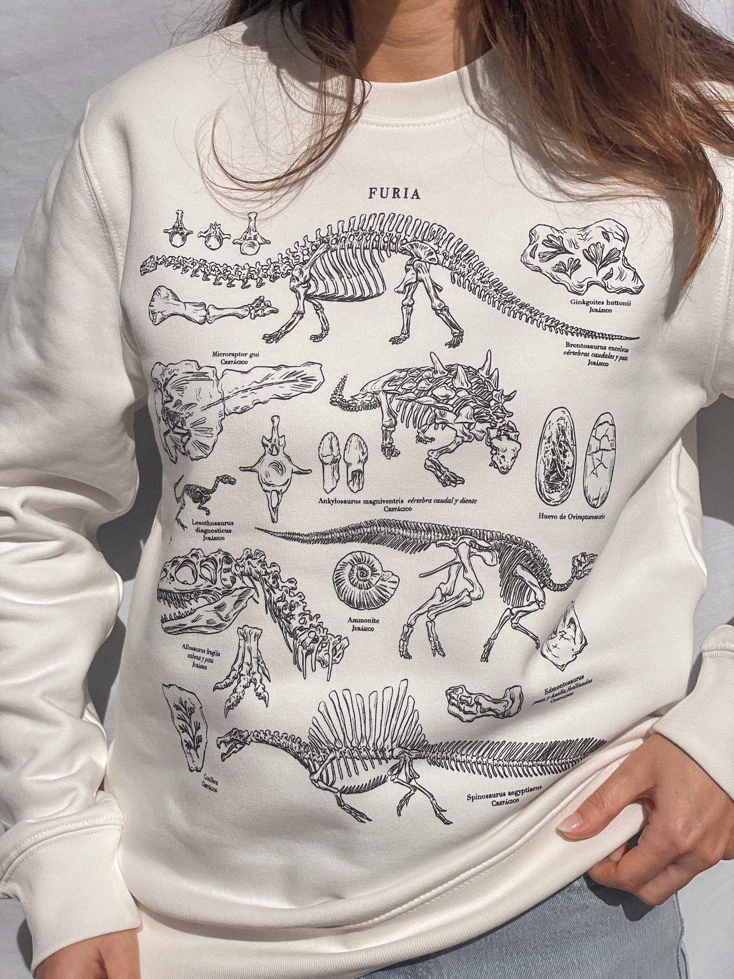 DINOSAURS (SWEATSHIRT) © 