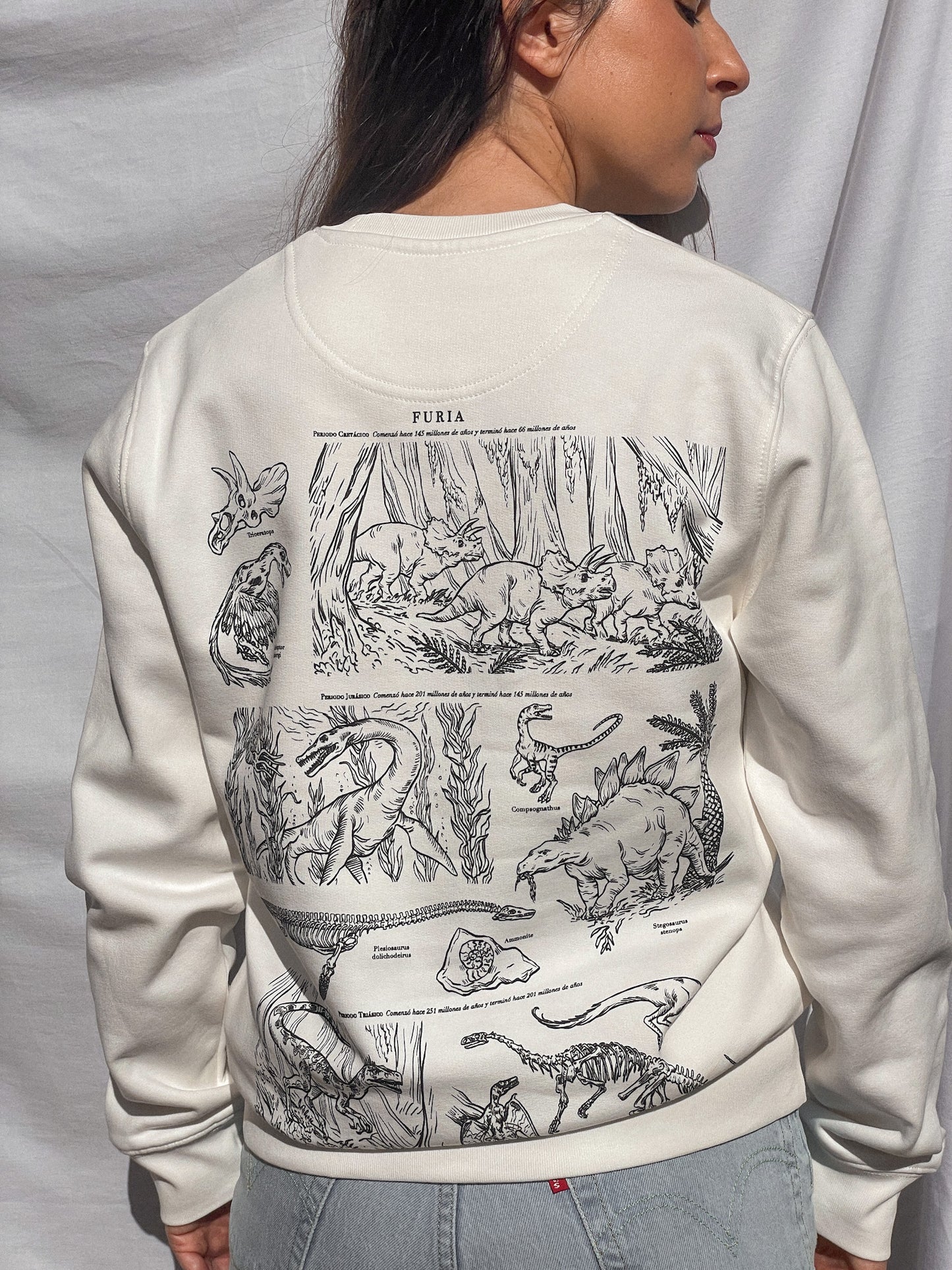 DINOSAURS (SWEATSHIRT) © 