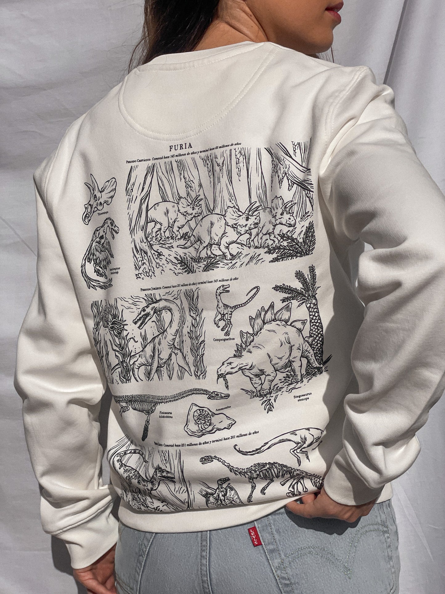 DINOSAURS (SWEATSHIRT) © 