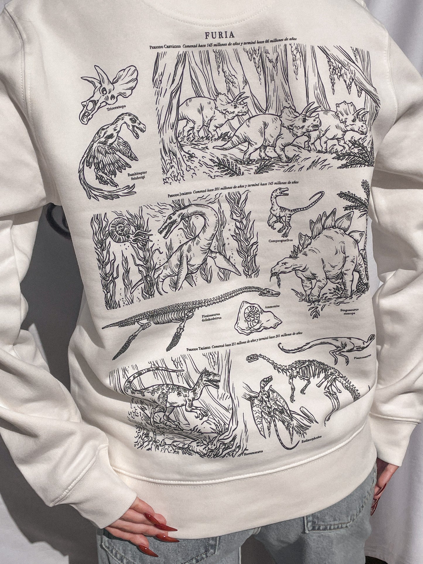 DINOSAURS (SWEATSHIRT) © 