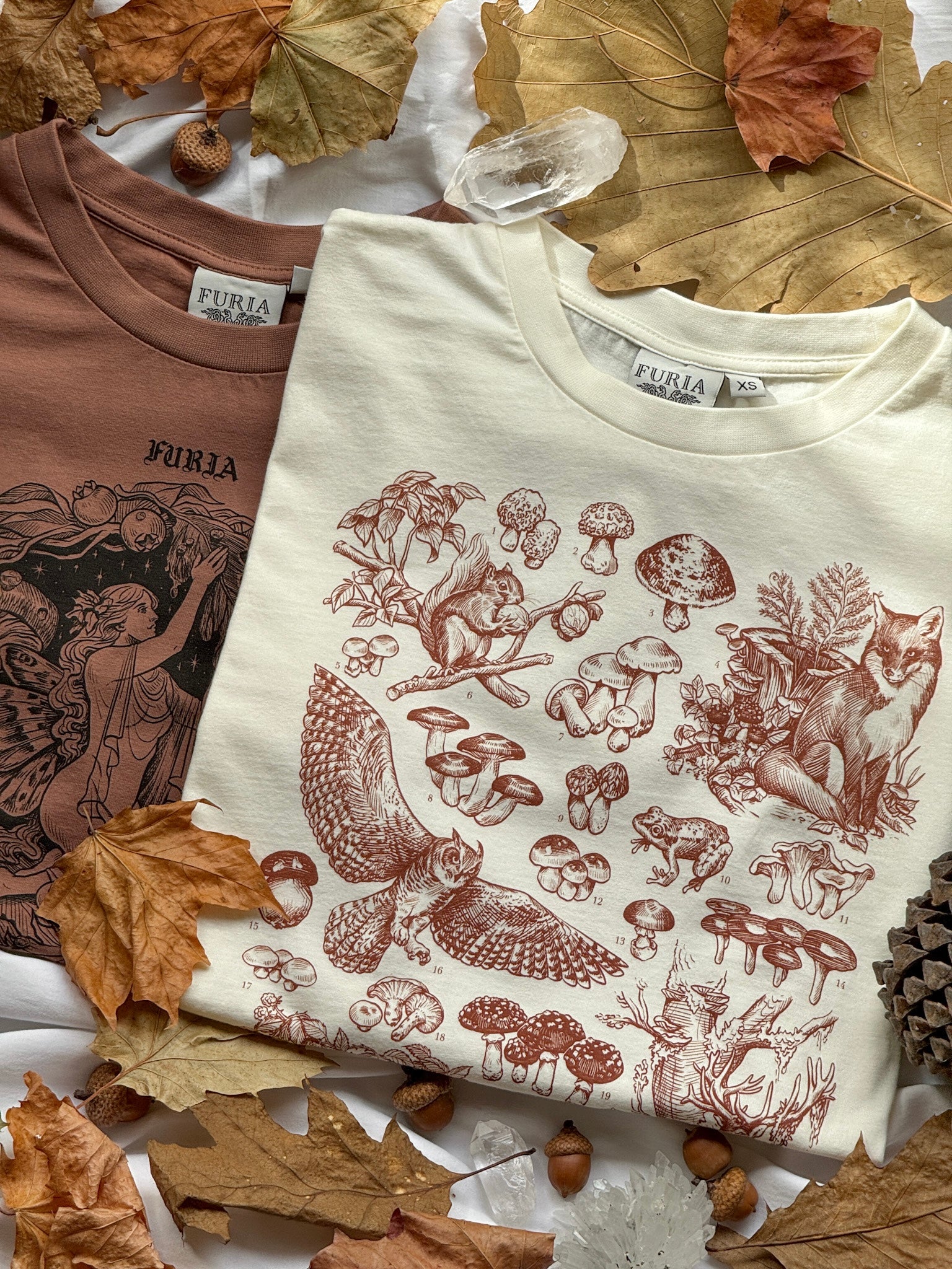 Lince Ibérico ® (Disponible Domingo 7 Septiembre)