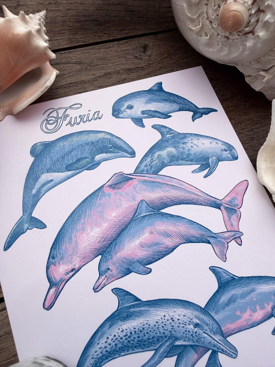 Print Delfines®