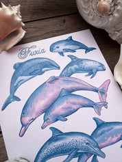 Print Delfines®
