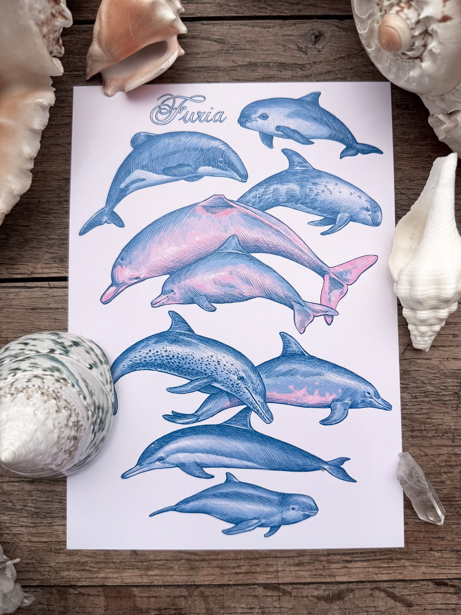 Pack Print Dolphins and Mermaid®