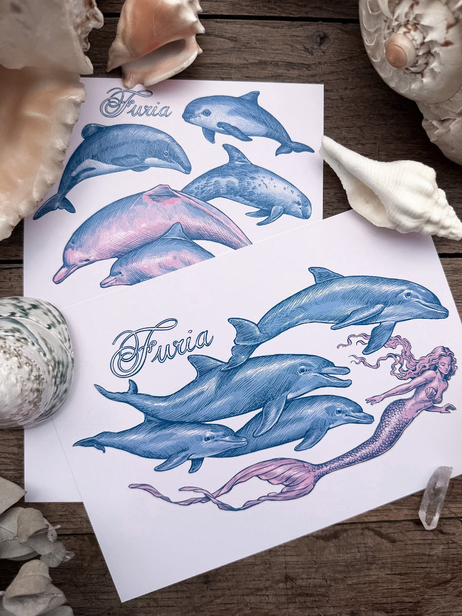 Pack Print Dolphins and Mermaid®