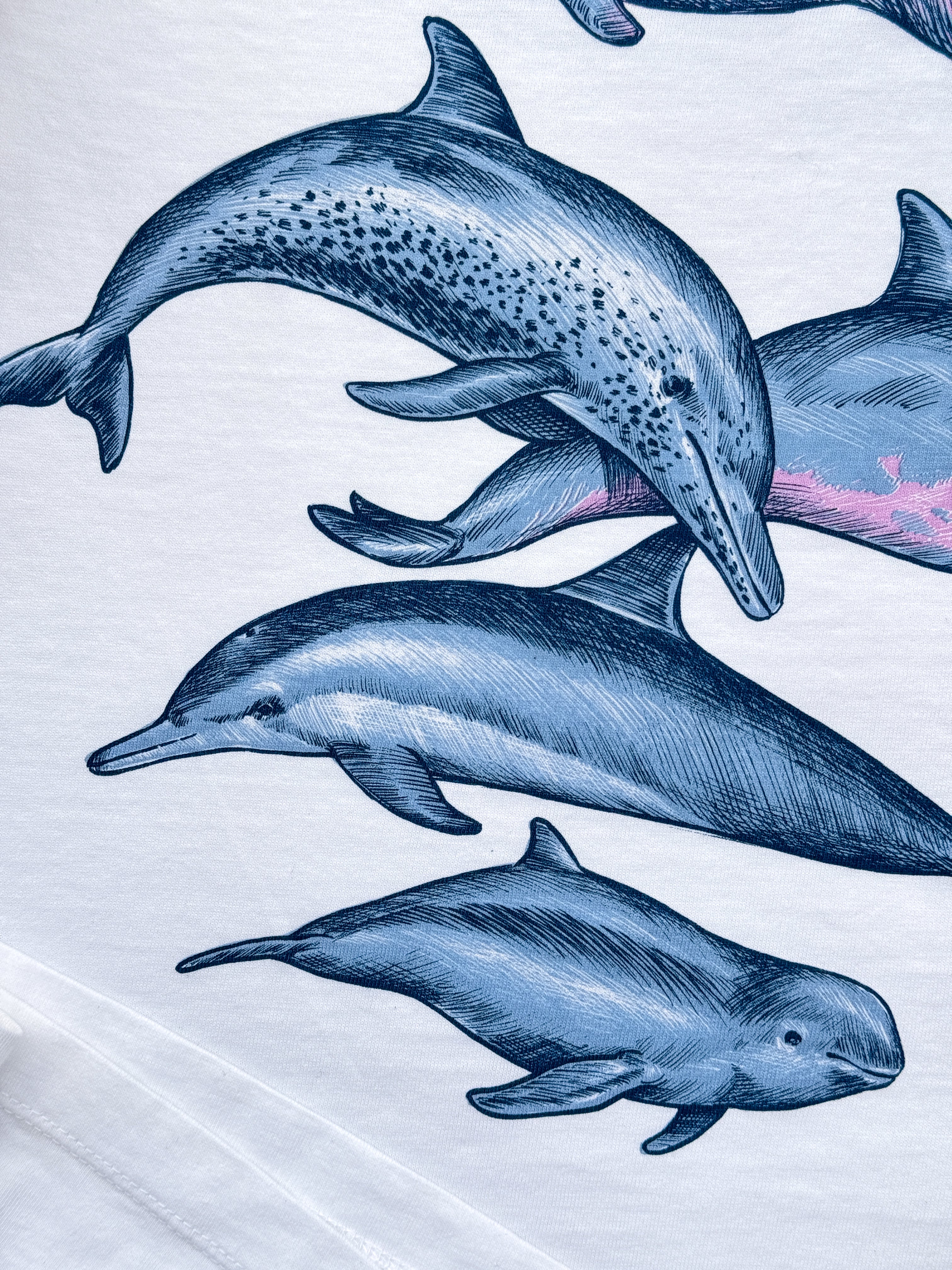 Dolphins® – FURIA