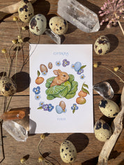 Ostara ® postcard pack