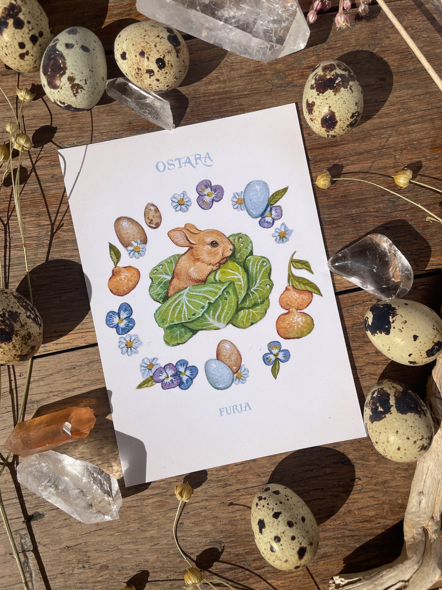 Rabbit in Cabbage Postcard ®