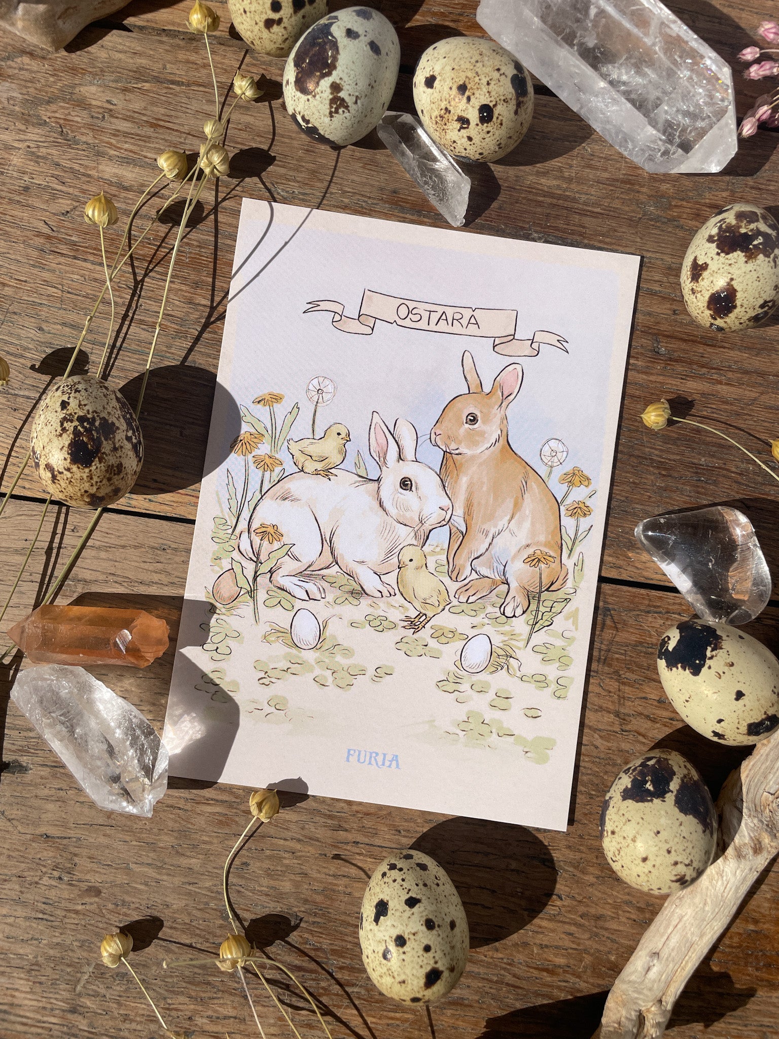 Rabbit and Chick Postcard ®