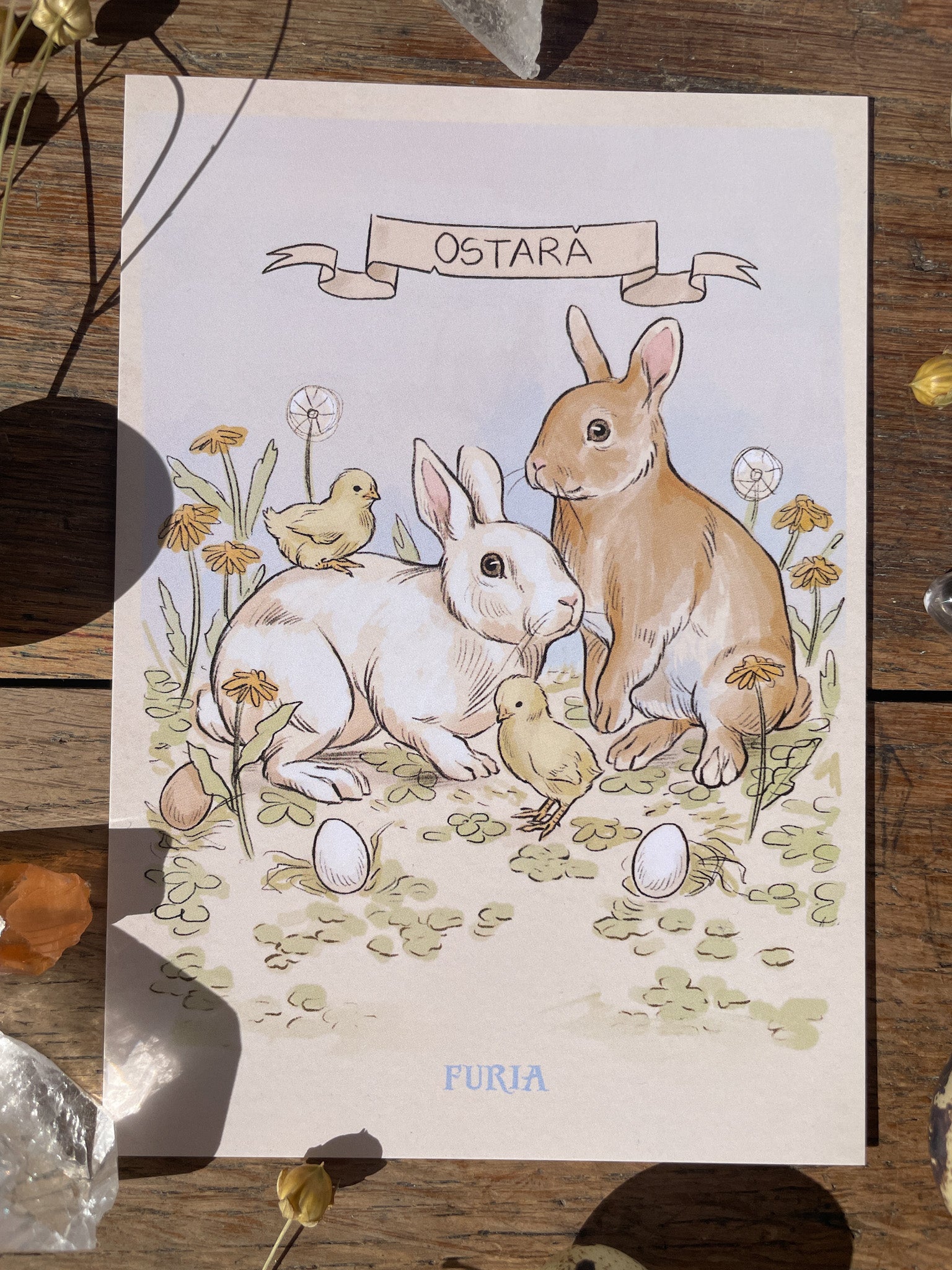 Ostara ® postcard pack