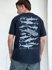Deep Oceans ®