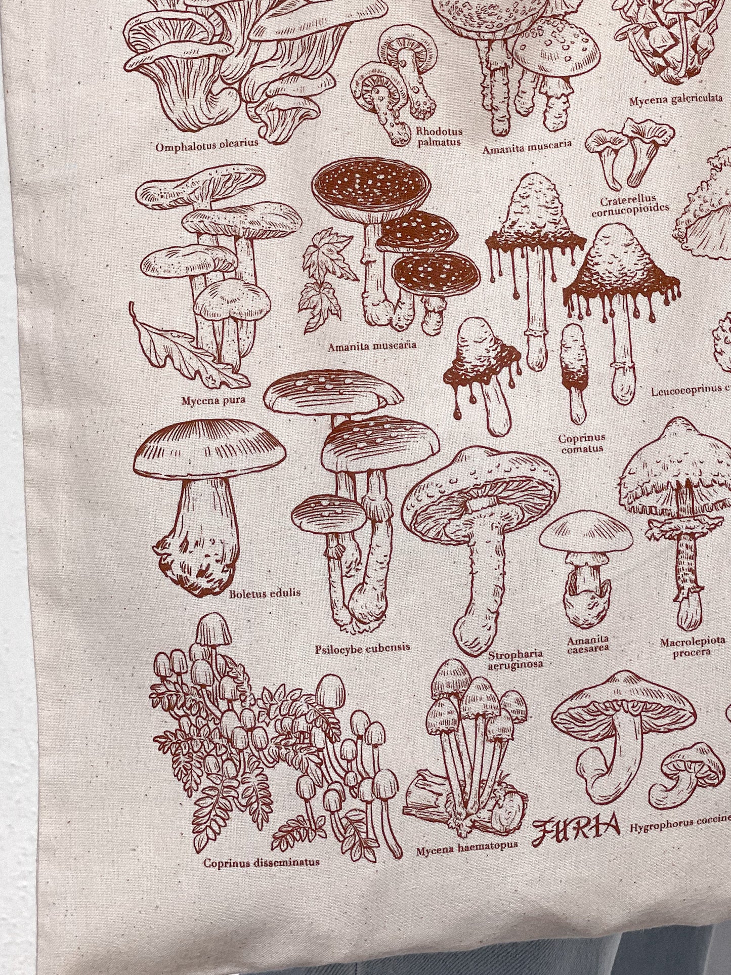 Tote mushrooms + Print