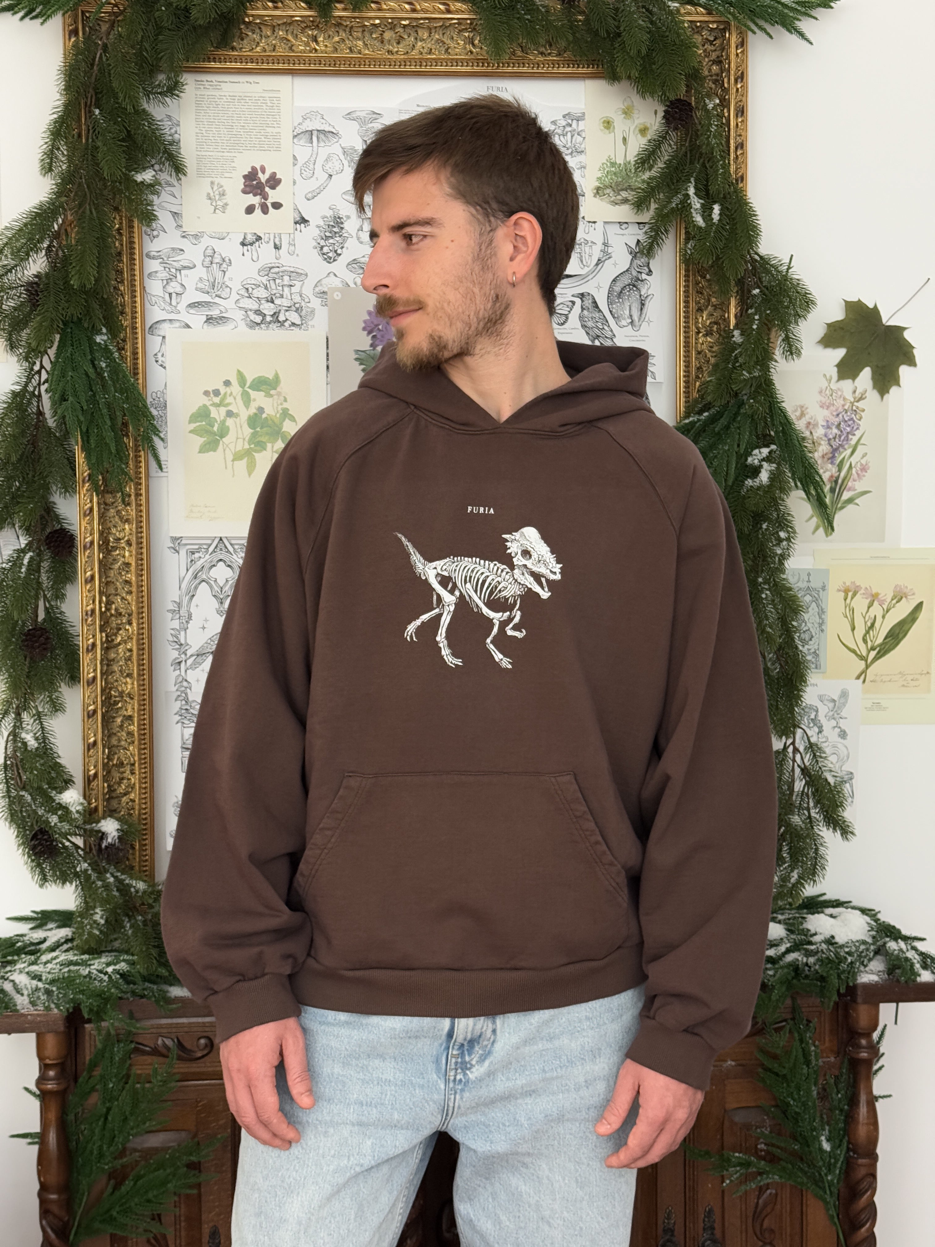 Hoodie Dinosaurios© (Disponible Domingo 7)