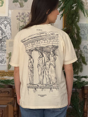 Greek Mythology© (Available Sunday 7)