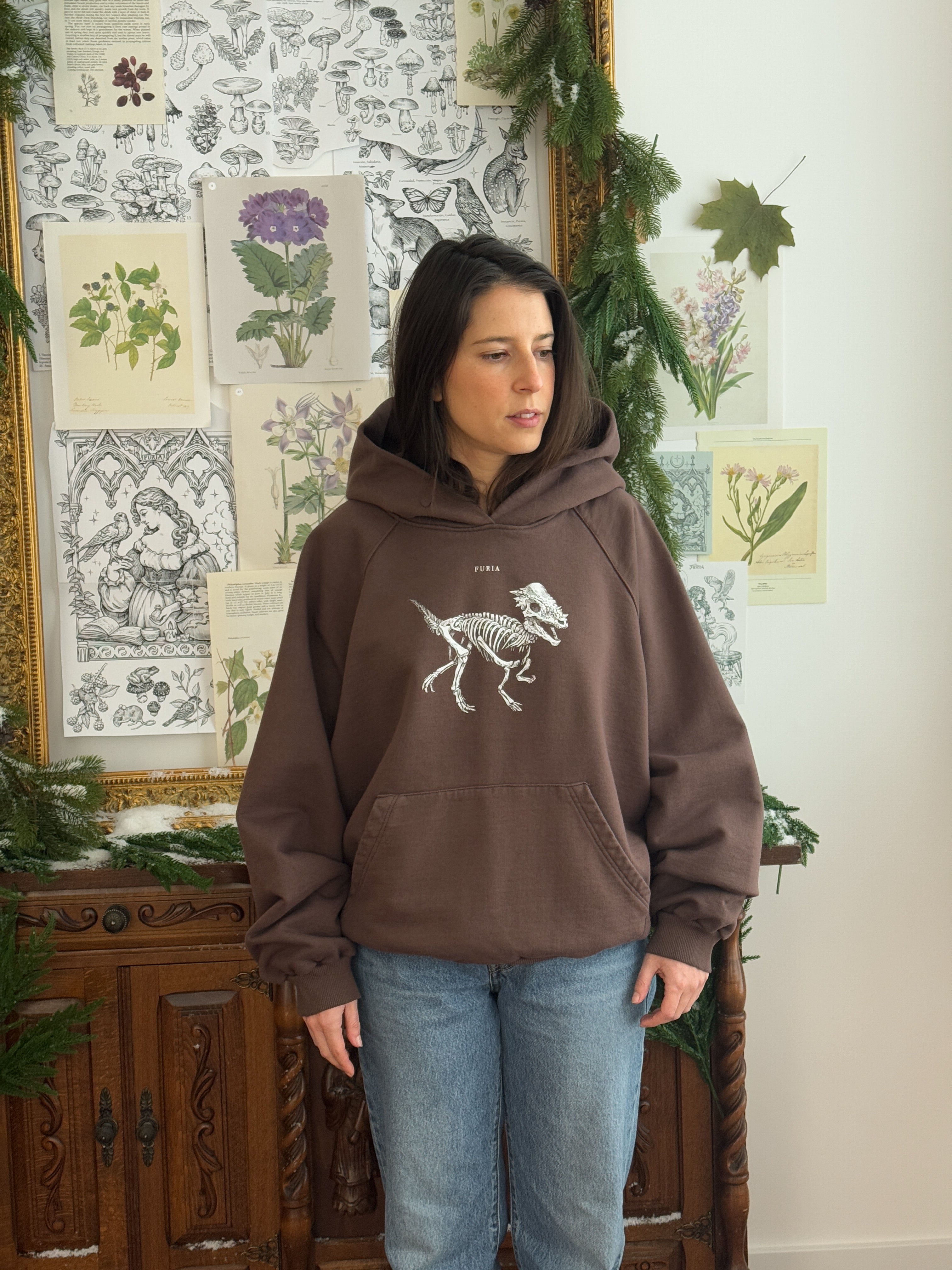 Hoodie Dinosaurios© (Disponible Domingo 7)