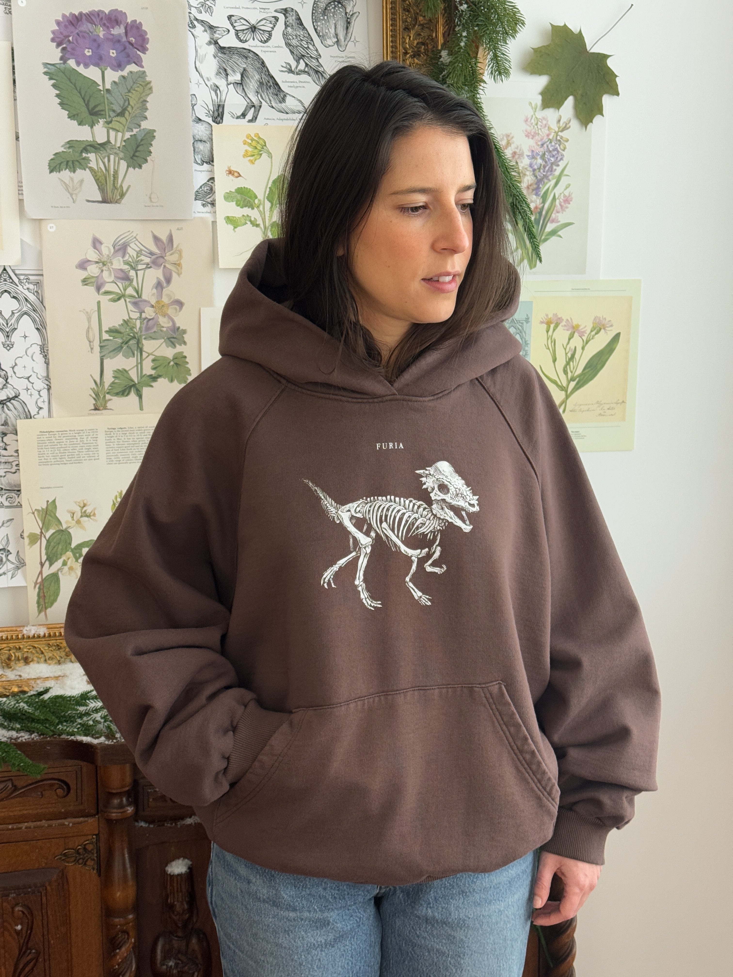 Hoodie Dinosaurios© (Disponible Domingo 7)