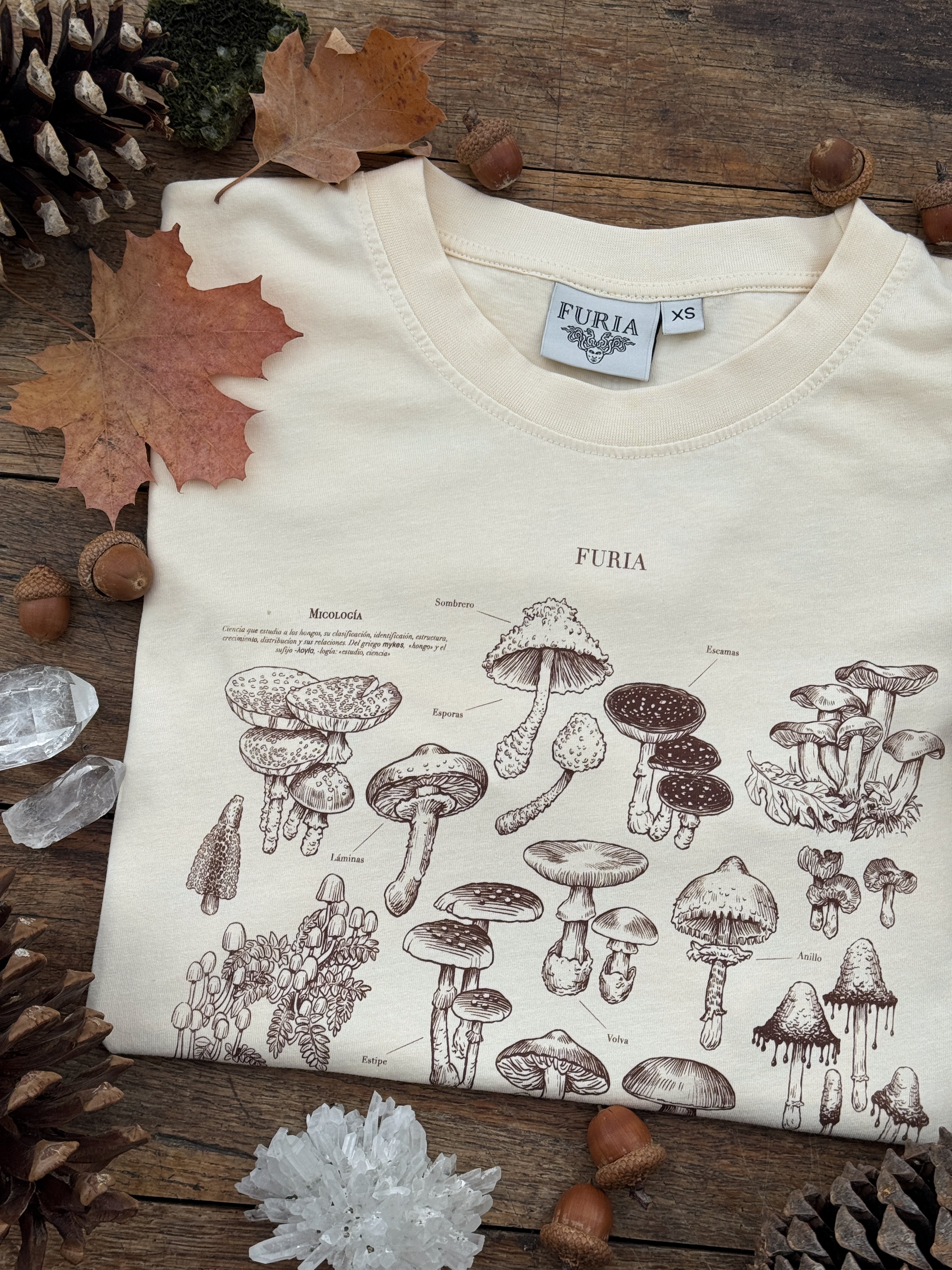 Mushrooms® 