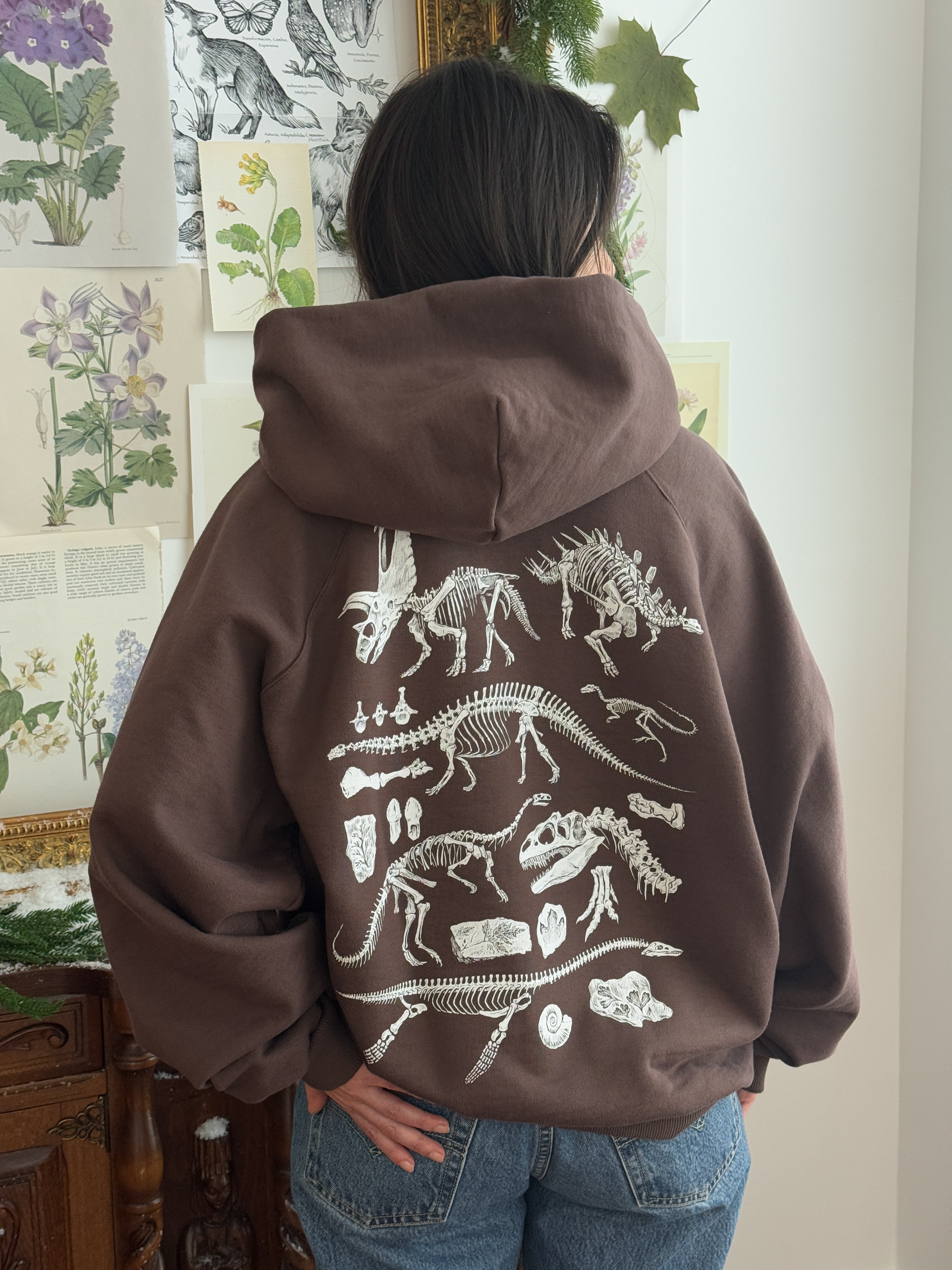 Hoodie Dinosaurios© (Disponible Domingo 7)