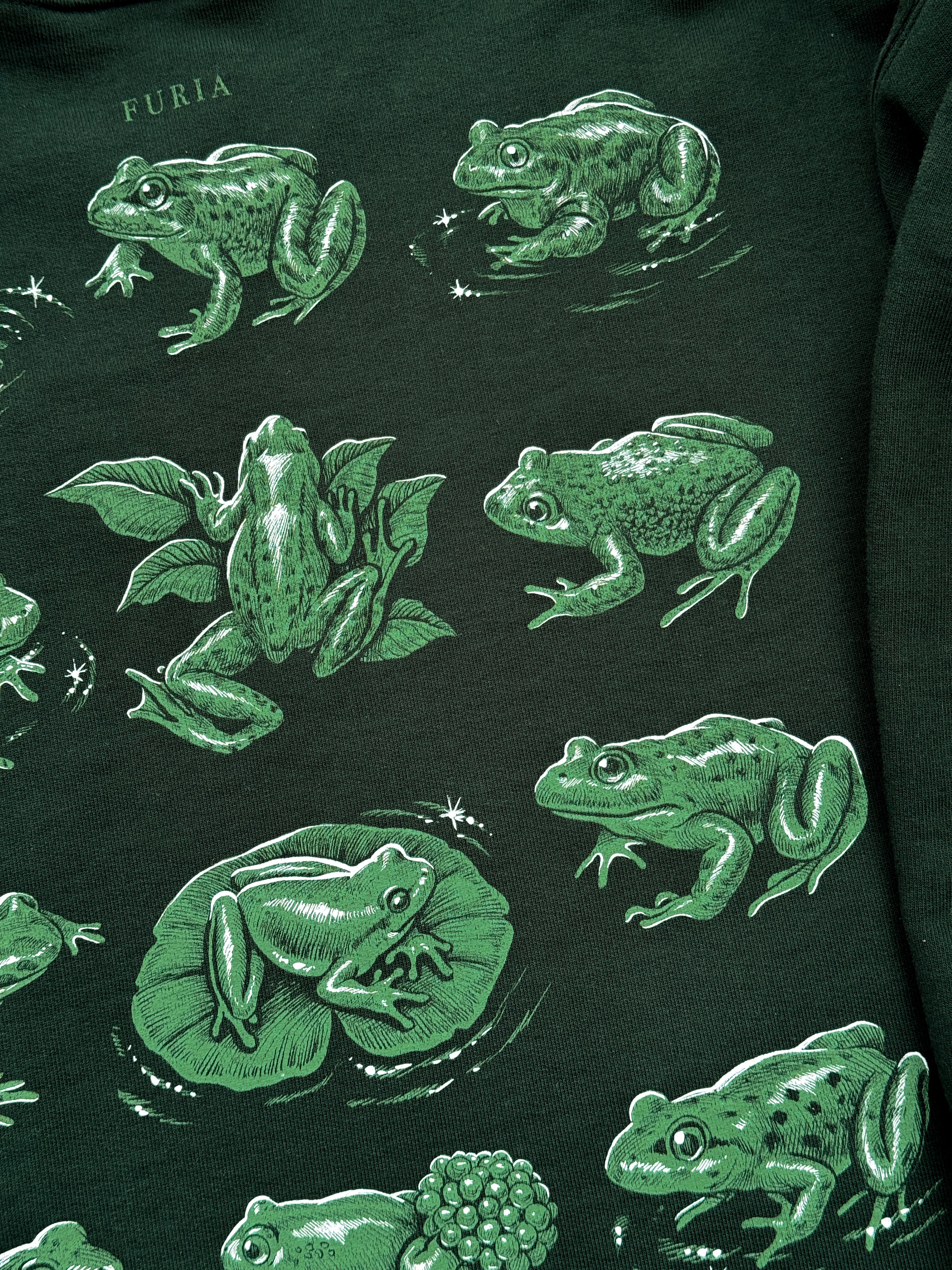 Frogs Sweatshirt©